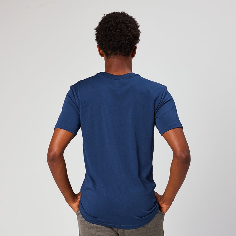 Altra EVERYDAY RECYCLED TEE Men's T-Shirt Blue | MRX-860172